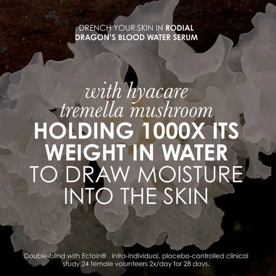 Rodial Dragon's Blood Face The Future Exclusive Kit