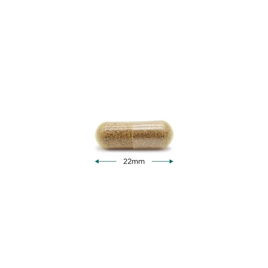 Cytoplan CytoProtect Liver Capsules 60 Capsules