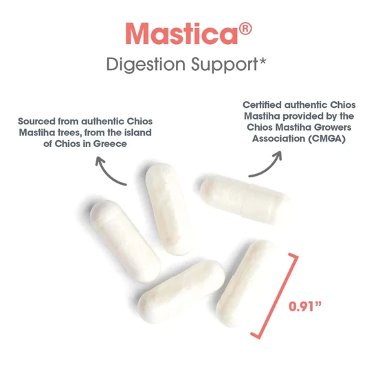 Allergy Research Group Mastica Chios Gum Mastic 500mg Capsules 120 Capsules