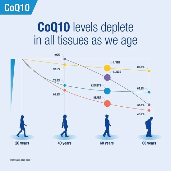 Lamberts Co-Enzyme Q10 200mg Capsules 60 Capsules