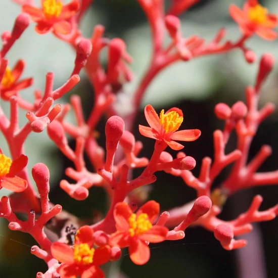 L'Anza Healing Style Moulding Paste 175ml