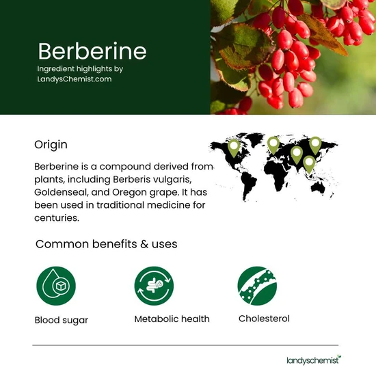 Allergy Research Group Berberine 250 Capsules 120 Capsules