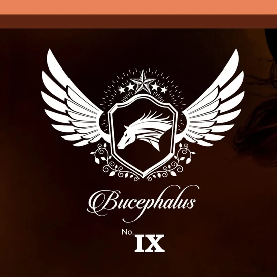 Armaf Bucephalus IX Eau De Parfum 100ml