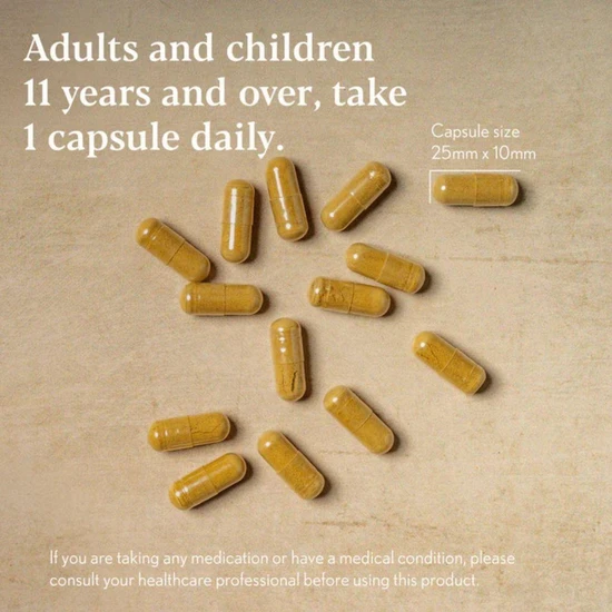 Higher Nature Gentle Iron Complex 60 Capsules