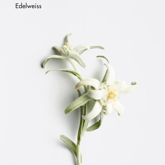 La Biosthetique Revitalising Hydro Cream 50ml