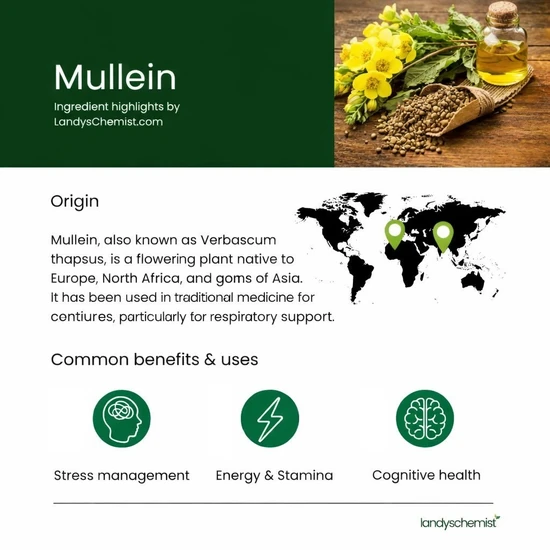 A.Vogel Mullein Respiratory Oral Drops 50ml