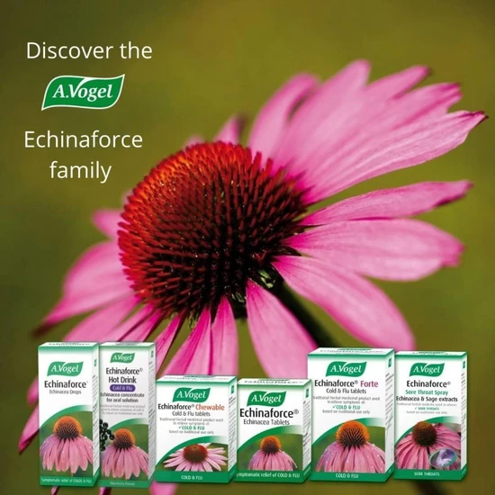 A.Vogel Echinaforce Sore Throat Spray 30ml