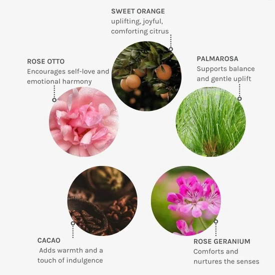 Evolve Beauty Wild Divine Essence 10ml
