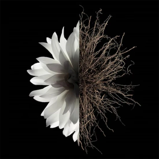 GIVENCHY L'Interdit The Deodorant 200ml