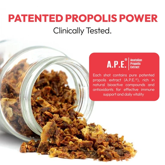 BEE&YOU Energy-X Royal Jelly Red Ginseng Propolis Raw Honey Shots x12