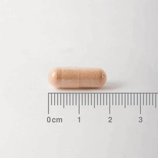 Lamberts Pycnogenol Capsules 60 Capsules