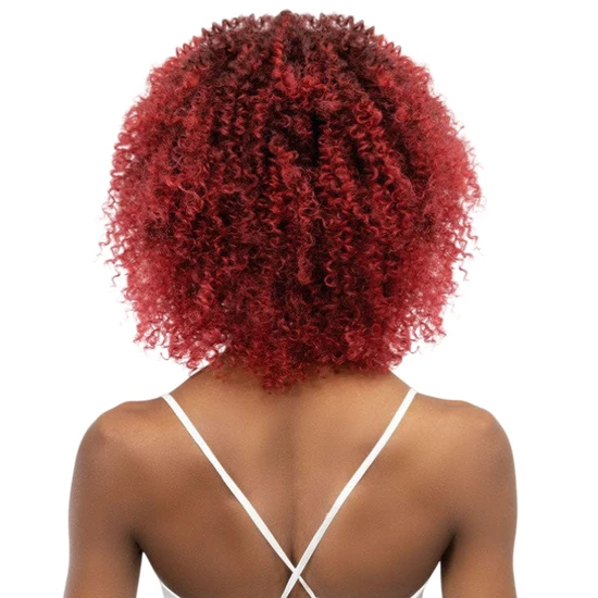 Janet Collection Natural Curly Natural Afro Leon Synthetic Wig