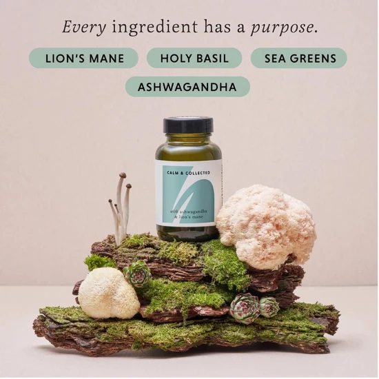 The Herbtender Calm & Collected Capsules 60 Capsules