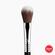 Sigma Beauty F03 High Cheekbone Highlighter Brush
