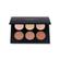 Anastasia Beverly Hills Pro Series Contour Kit