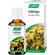A.Vogel Solidago Complex 50ml