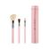 Sigma Beauty ESSENTIAL TRIO BRUSH SET Pink