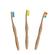 Dr Botanicals Vibrant Bamboo Toothbrush Kit