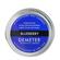 Demeter Atmosphere Soy Candle Blueberry 170g