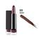 Max Factor Colour Elixir Velvet Matte Lipstick Mauve 60