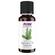 NOW Foods Balsam Fir Needle Oil 30ml