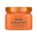 Tree Hut Sunkissed Poppy Shea Sugar Scrub 510g
