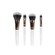 Brushworks Travel Brush Set