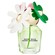 Marc Jacobs Daisy Wild Eau De Parfum 30ml