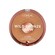 01 Light Bronze