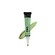 Green Corrector