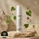 LUWIN Ultimate Repair & Clear Face Cream For Acne-prone Skin 50ml