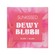 Sunkissed Dewy Blush 8.5g