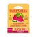 Burt's Bees Watermelon Moisturising Lip Balm 4.25g