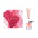 Lancôme La Vie Est Belle Eau De Parfum Gift Set 30ml & 50ml Body Lotion