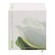 Kenzo Ca Sent Beau Eau De Toilette 50ml