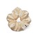 Drowsy Champagne Gold Padded Scrunchie 1 unit
