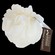 Hydrea London Champagne Body Buffer