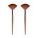 Dr Botanicals Coffee Ground Fan Brush Twin Value Savings Pack