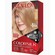 70 Medium Ash Blonde