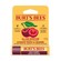 Burt's Bees Wild Cherry Lip Balm 4.25g