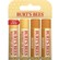 Burt's Bees Bee Wax & Honey Moisturising Lip Balms Set 4 x 4.25 g