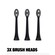 Spotlight Sonic Toothbrush Replacement Heads Black