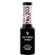 203 Hypnotic Rose