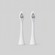 Polished London Sonic XP Replacement Toothbrush Heads Black