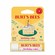 Burt's Bees Birthday Cake Lip Balm